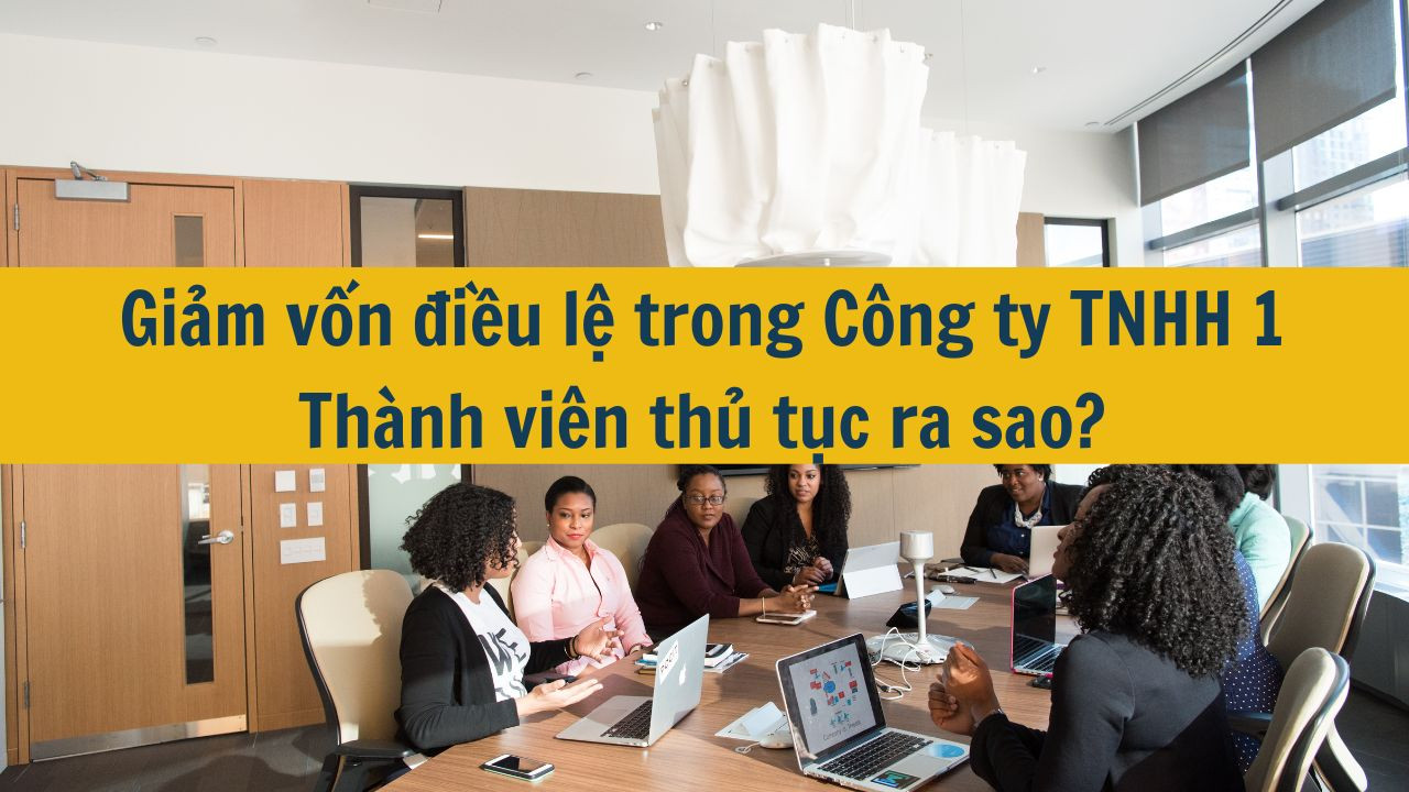 Giảm vốn điều lệ trong Công ty TNHH 1 Thành viên thủ tục ra sao?