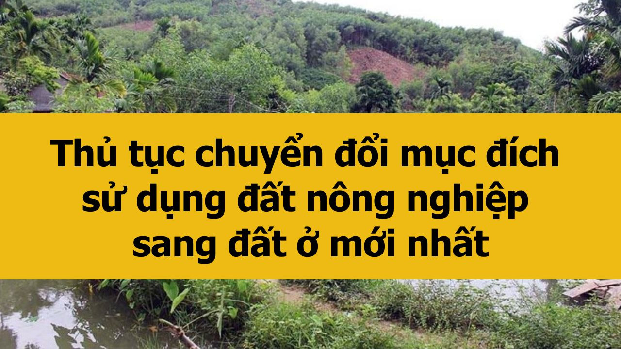 Thủ tục chuyển đổi mục đích sử dụng đất nông nghiệp sang đất ở mới nhất 2025