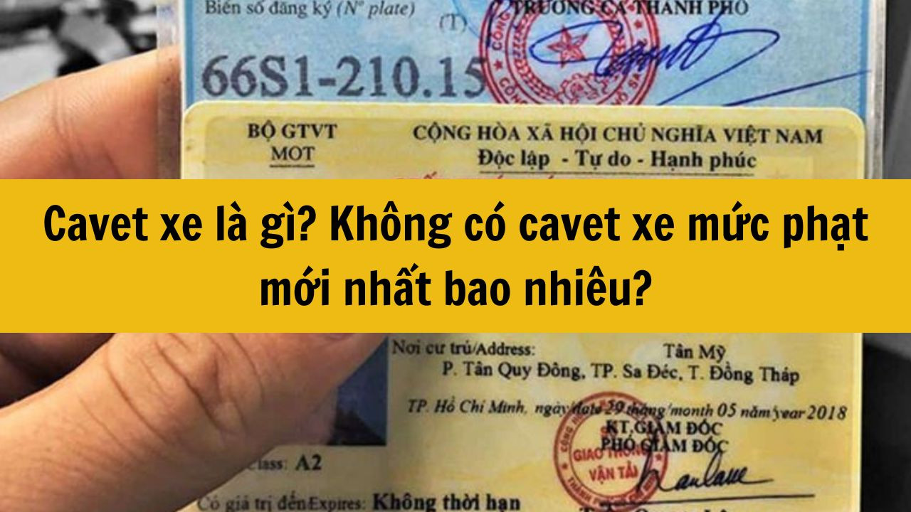 Cavet xe là gì? Không có cavet xe mức phạt mới nhất 2025 bao nhiêu?