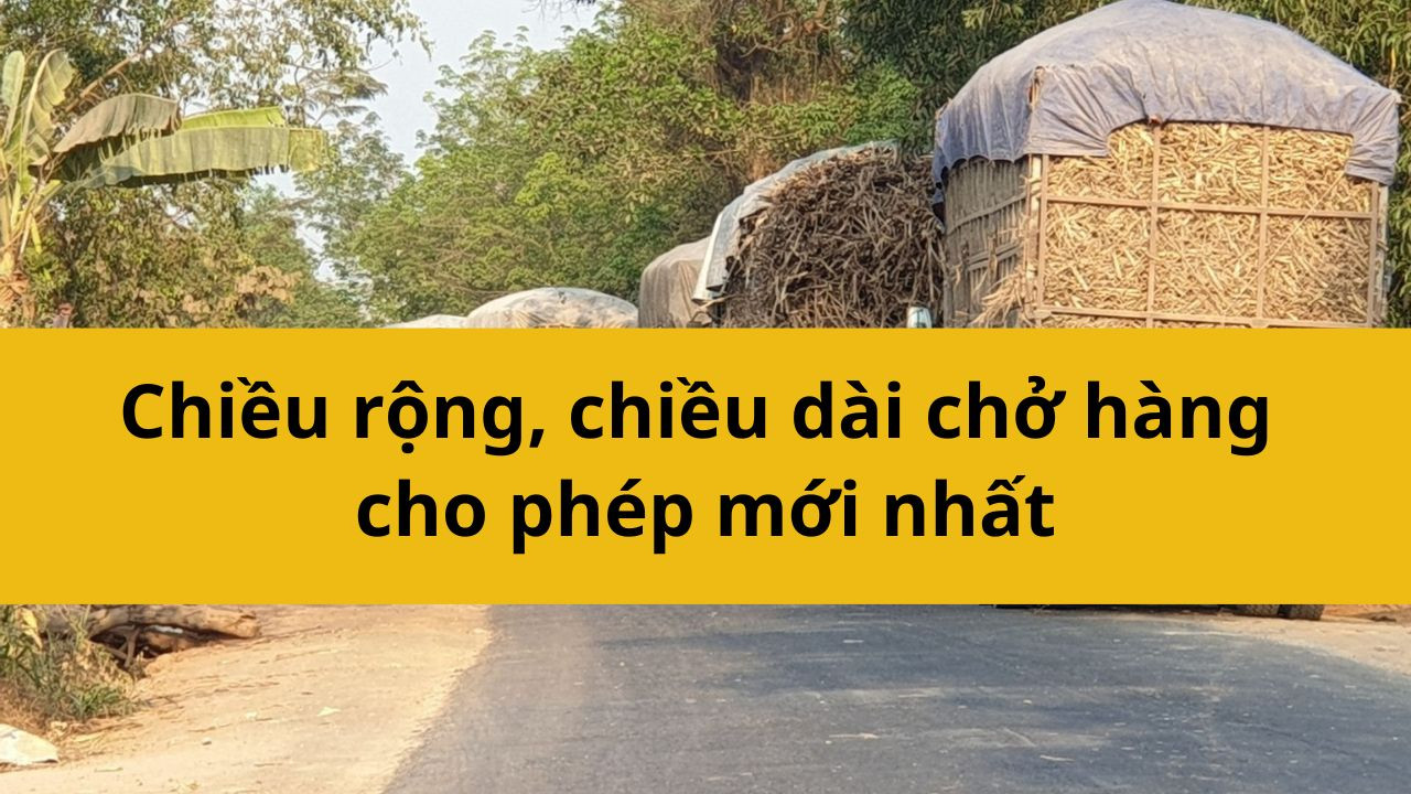 Chiều rộng, chiều dài chở hàng cho phép mới nhất 2025