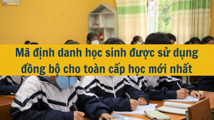 Mã định danh học sinh được sử dụng đồng bộ cho toàn cấp học mới nhất 2025?