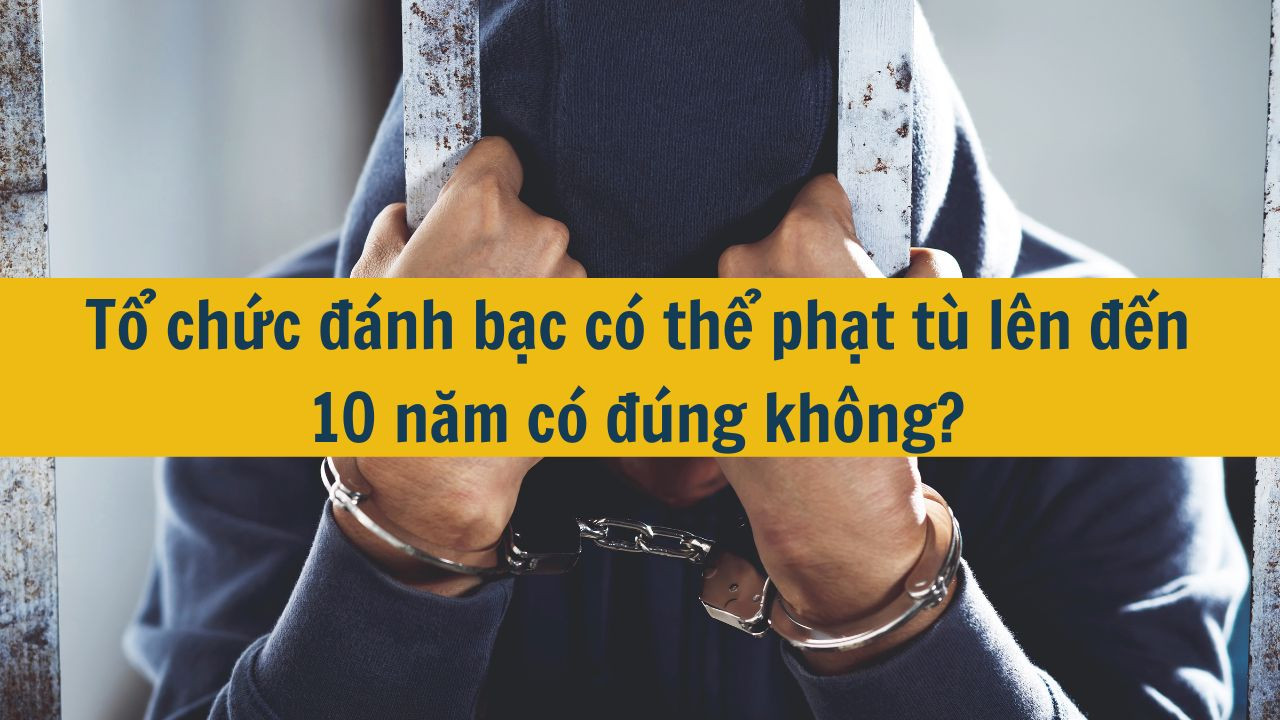 Tổ chức đánh bạc có thể phạt tù lên đến 10 năm có đúng không?