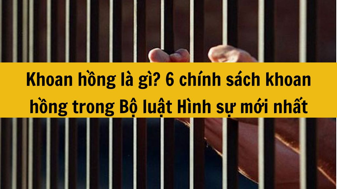 Khoan hồng là gì? 6 chính sách khoan hồng trong Bộ luật Hình sự mới nhất 2025