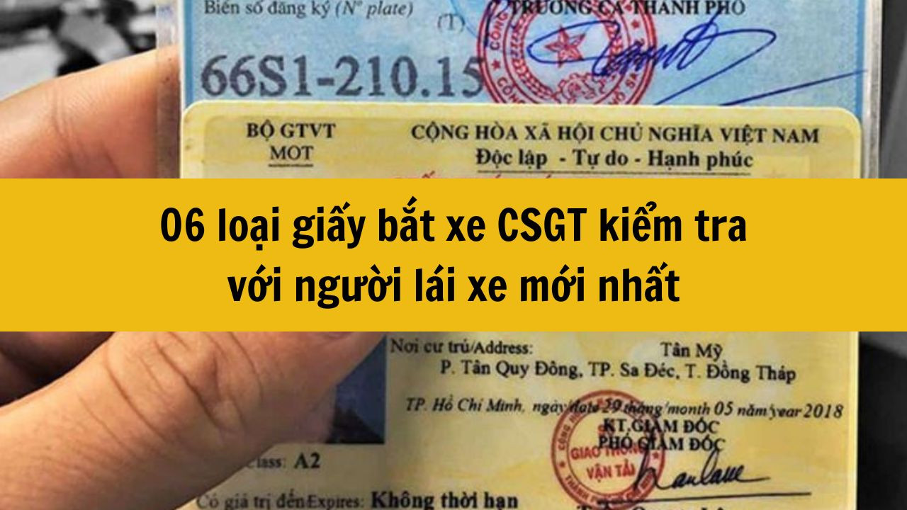 06 loại giấy bắt xe CSGT kiểm tra với người lái xe mới nhất 2025