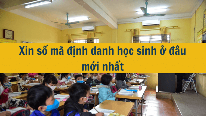 Xin số mã định danh học sinh ở đâu mới nhất 2025?