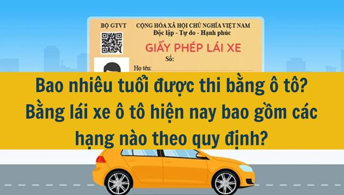 Bao nhiêu tuổi được thi bằng ô tô? Bằng lái xe ô tô hiện nay bao gồm các hạng nào theo quy định?