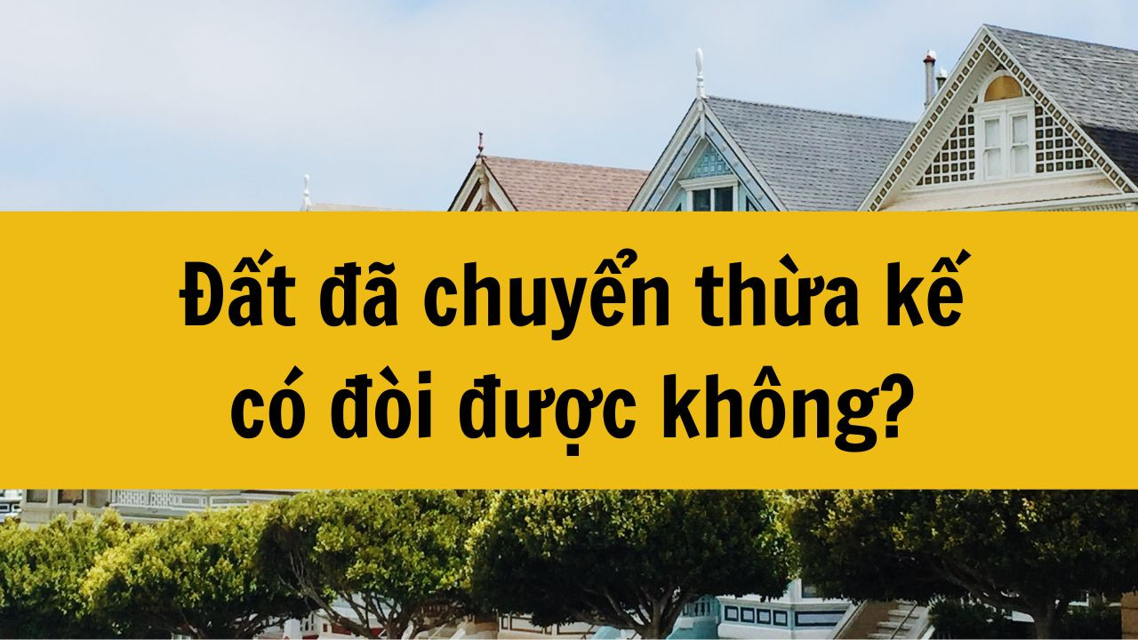 Đất đã chuyển thừa kế có đòi được không?