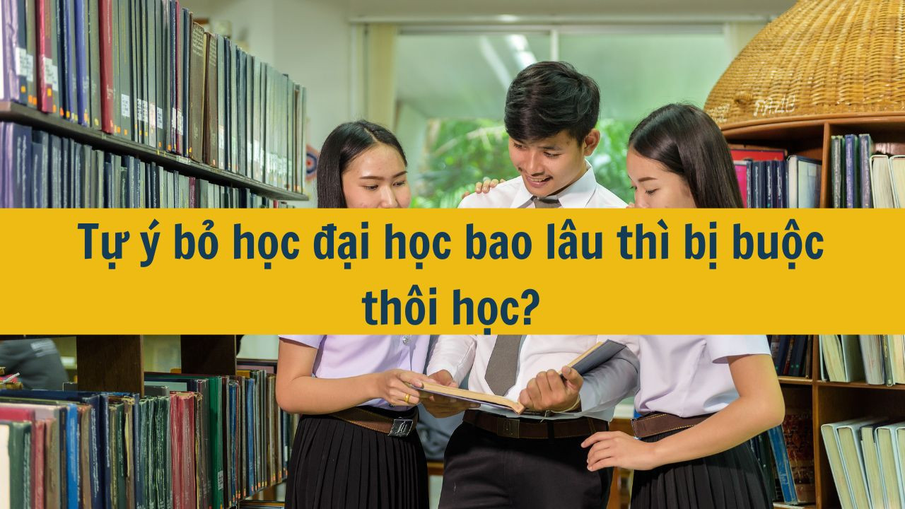 Tự ý bỏ học đại học bao lâu thì bị buộc thôi học?