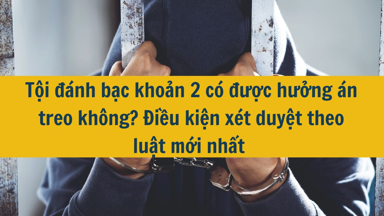 Tội đánh bạc khoản 2 có được hưởng án treo không? Điều kiện xét duyệt theo luật mới nhất 2025