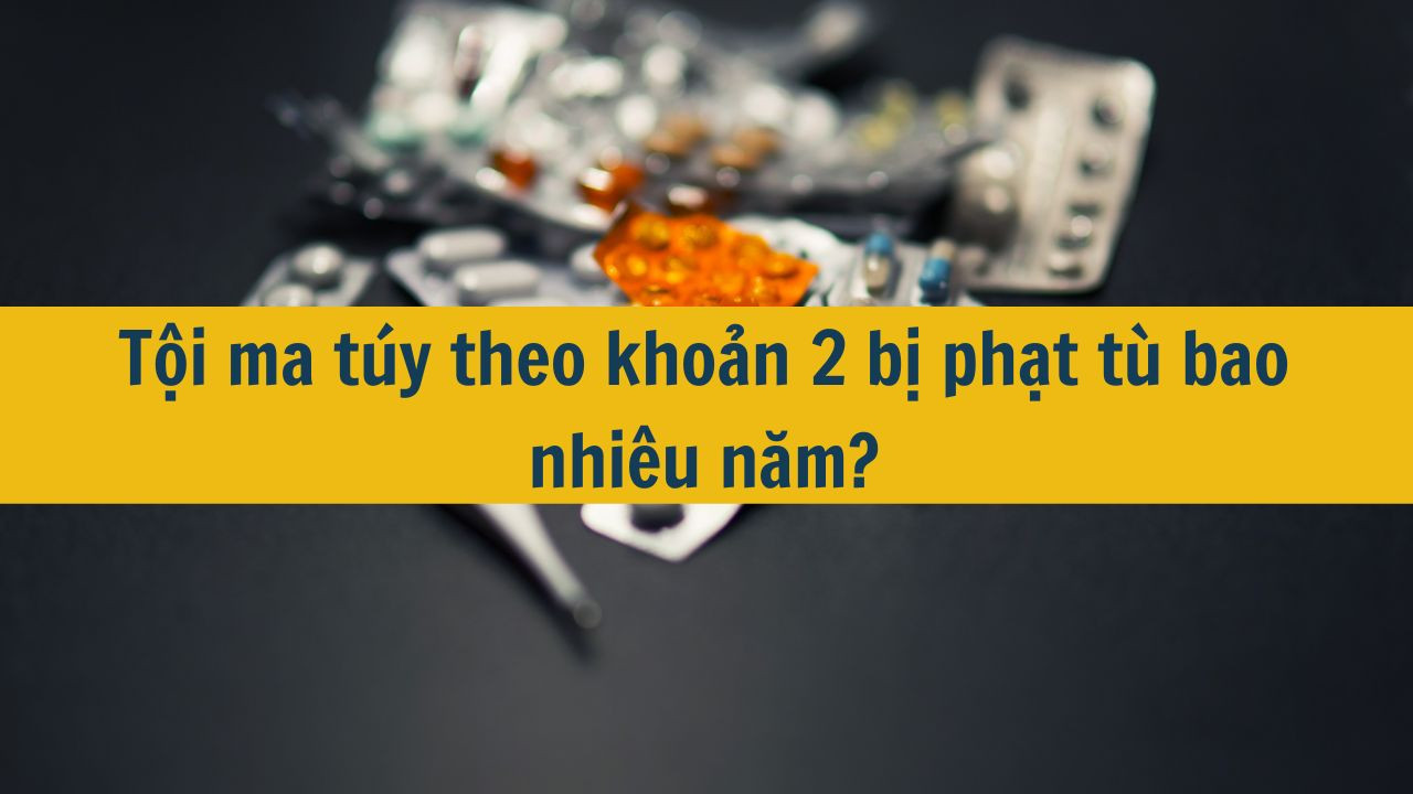 Tội ma túy theo khoản 2 bị phạt tù bao nhiêu năm?