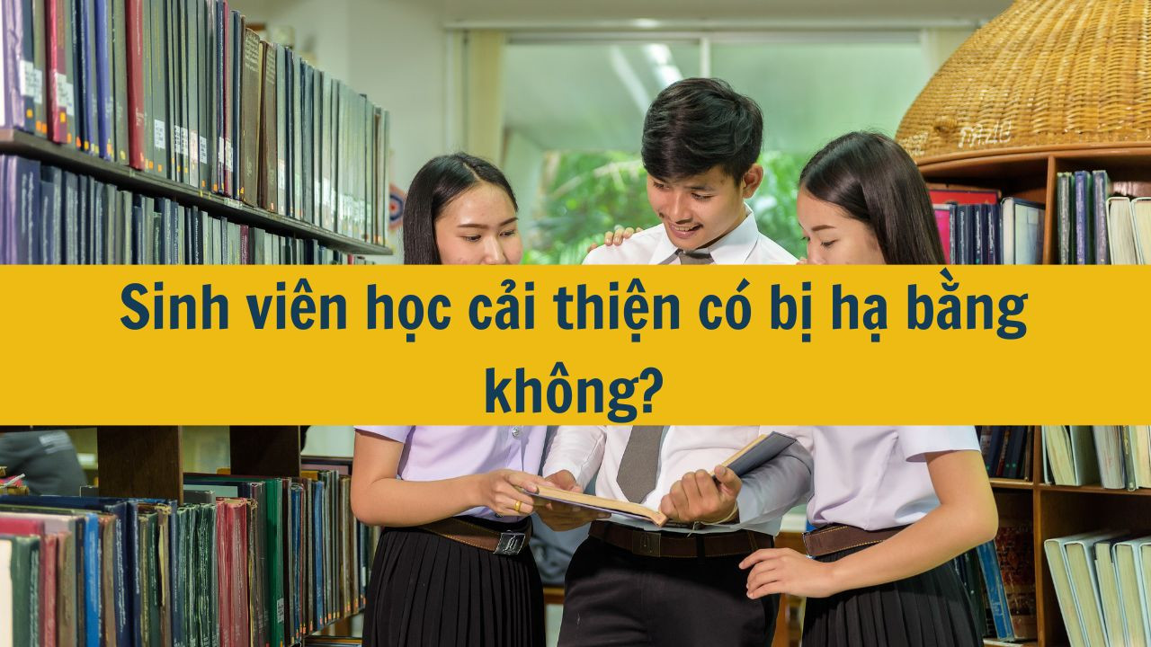 Sinh viên học cải thiện có bị hạ bằng không?