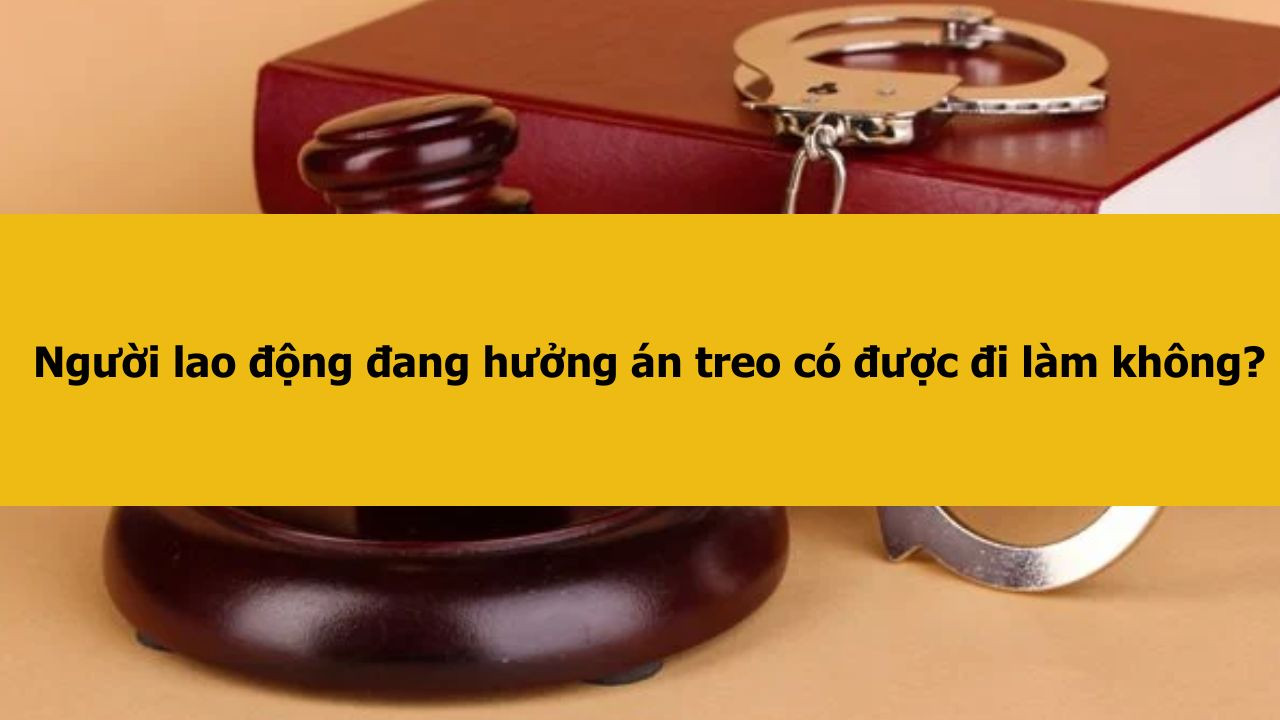 Người lao động đang hưởng án treo có được đi làm không?