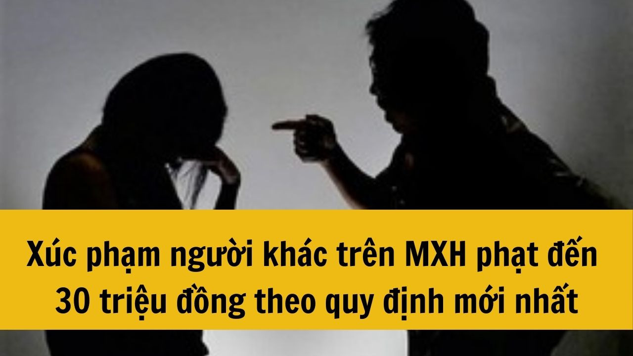 Xúc phạm người khác trên MXH phạt đến 30 triệu đồng theo quy định mới nhất 2025?