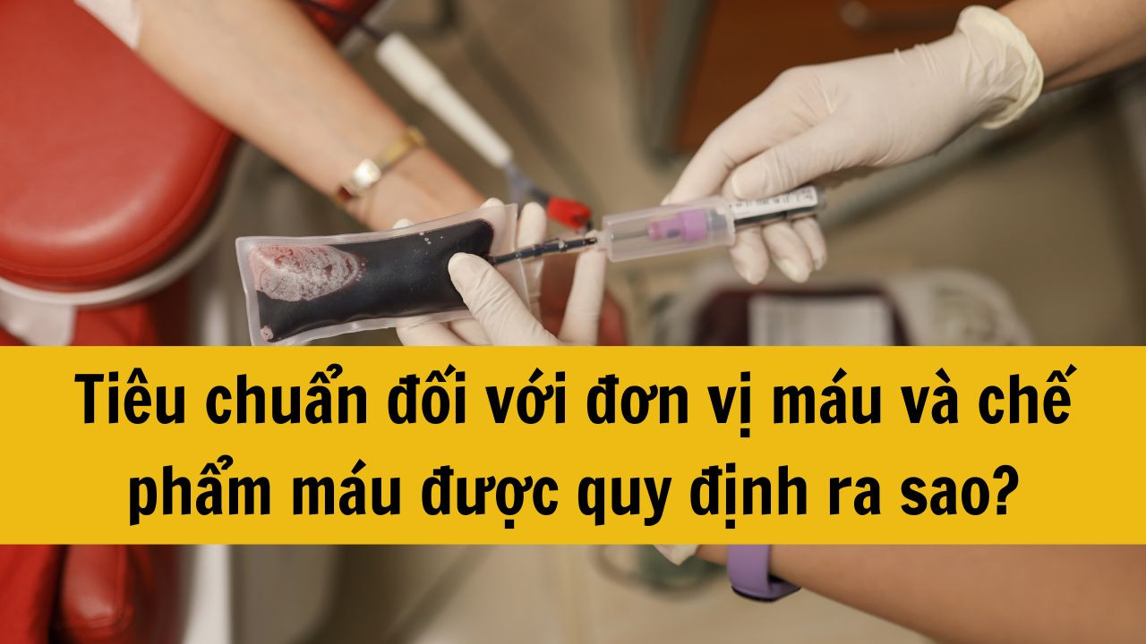 Tiêu chuẩn đối với đơn vị máu và chế phẩm máu được quy định ra sao?