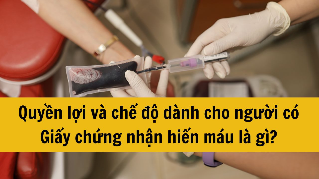 Quyền lợi và chế độ dành cho người có Giấy chứng nhận hiến máu là gì?