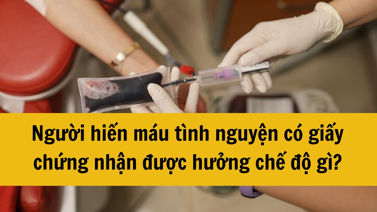 Người hiến máu tình nguyện có giấy chứng nhận được hưởng chế độ gì?