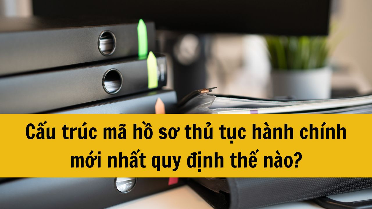 Cấu trúc mã hồ sơ thủ tục hành chính mới nhất 2025 quy định thế nào?