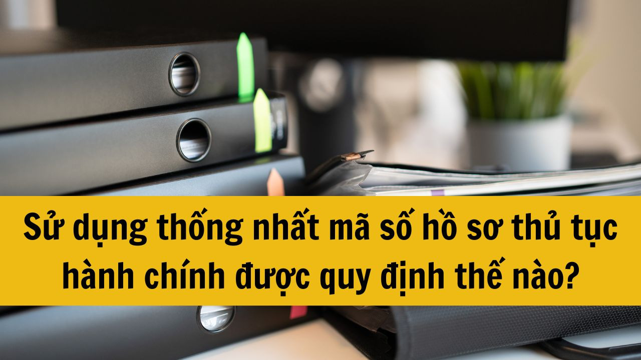 Sử dụng thống nhất mã số hồ sơ thủ tục hành chính được quy định thế nào?