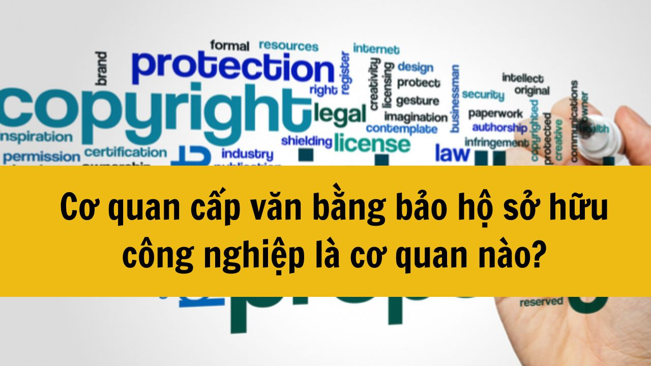 Cơ quan cấp văn bằng bảo hộ sở hữu công nghiệp là cơ quan nào?