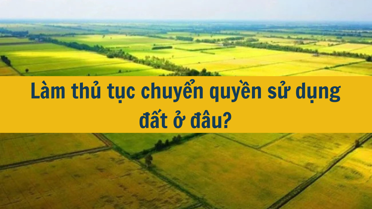 Làm thủ tục chuyển quyền sử dụng đất ở đâu?