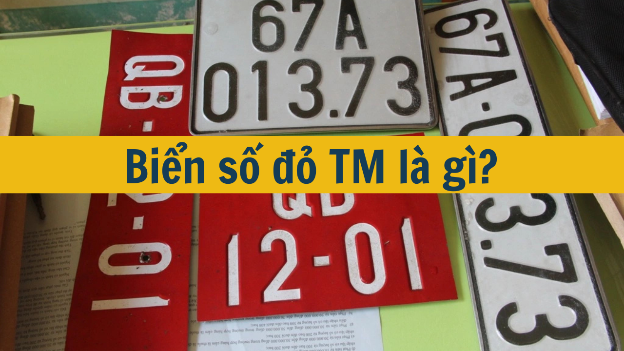 Biển số đỏ TM là gì?