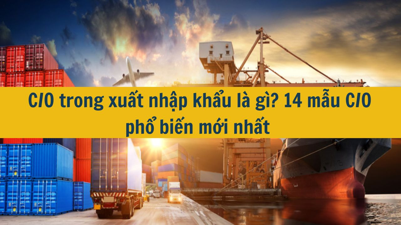 C/O trong xuất nhập khẩu là gì? 14 mẫu C/O phổ biến mới nhất 2025