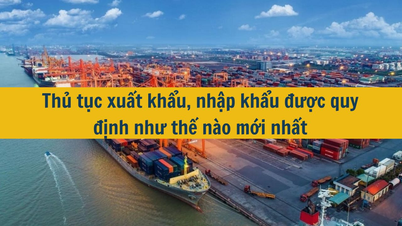 Thủ tục xuất khẩu, nhập khẩu được quy định như thế nào mới nhất 2025?