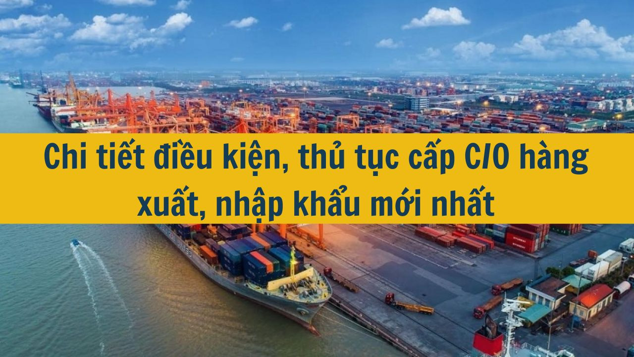 Chi tiết điều kiện, thủ tục cấp C/O hàng xuất, nhập khẩu mới nhất 2025