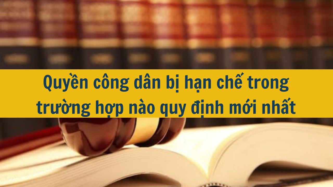 Quyền công dân bị hạn chế trong trường hợp nào quy định mới nhất 2025?