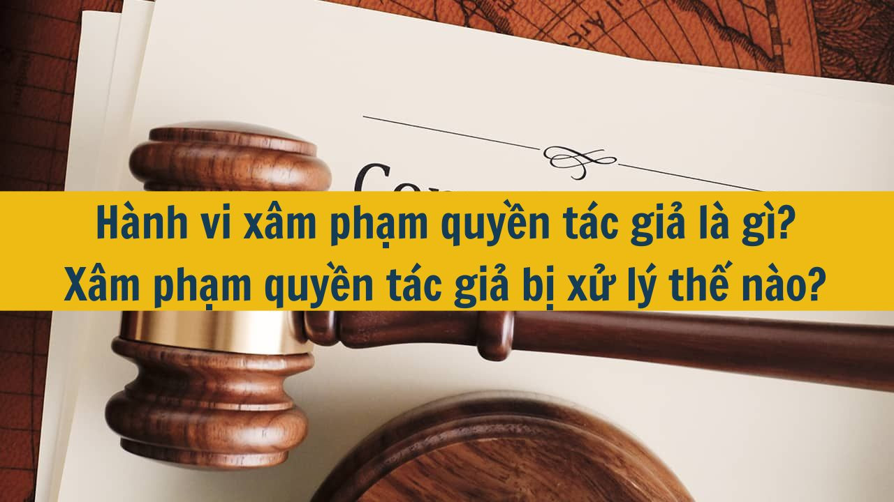 Hành vi xâm phạm quyền tác giả là gì? Xâm phạm quyền tác giả bị xử lý thế nào?