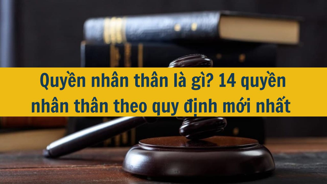 Quyền nhân thân là gì? 14 quyền nhân thân theo quy định mới nhất 2025