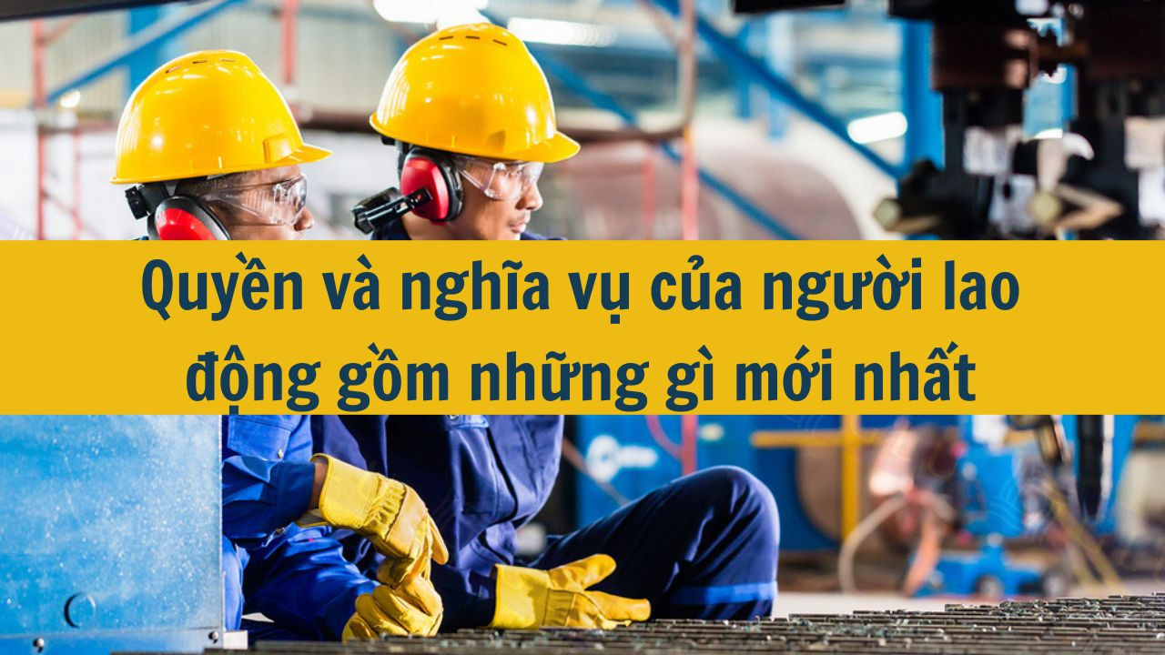 Quyền và nghĩa vụ của người lao động gồm những gì mới nhất 2025?