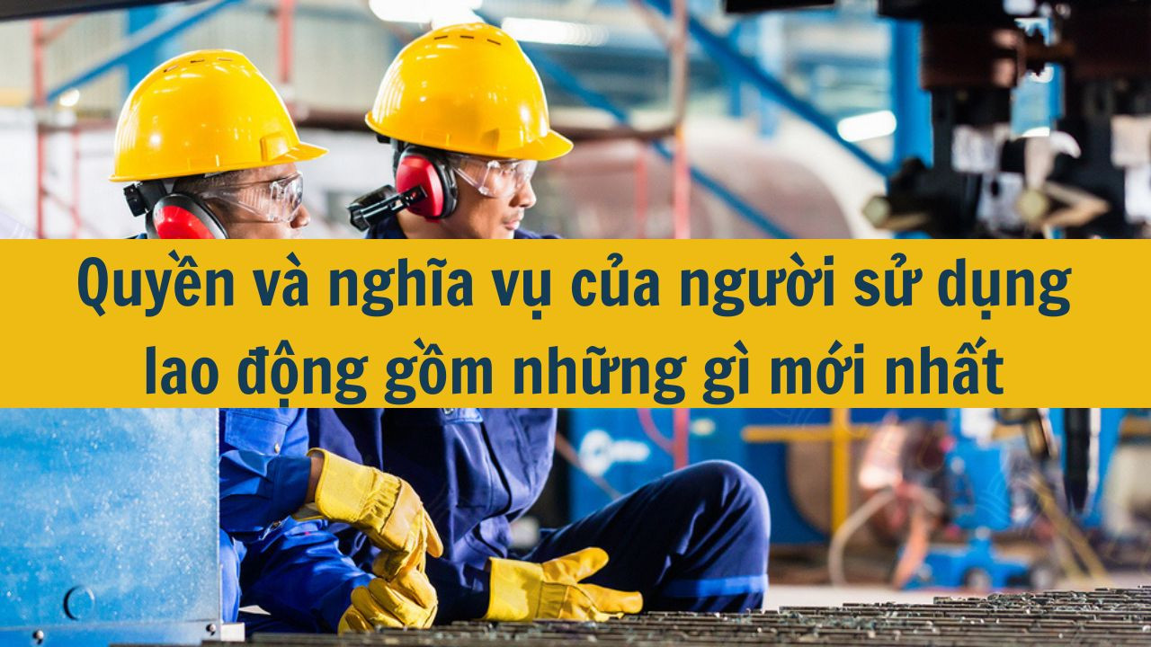 Quyền và nghĩa vụ của người sử dụng lao động gồm những gì mới nhất 2025?
