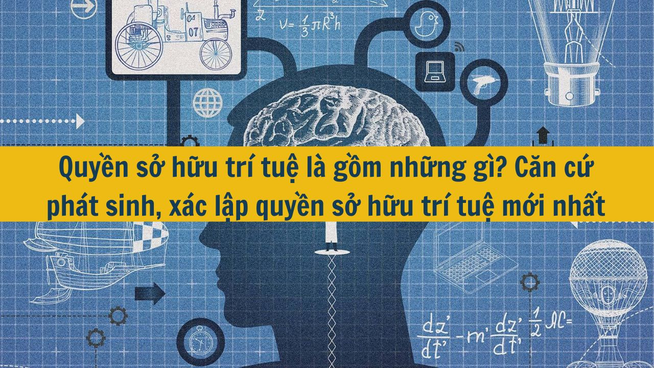 Quyền sở hữu trí tuệ là gồm những gì? Căn cứ phát sinh, xác lập quyền sở hữu trí tuệ mới nhất 2025