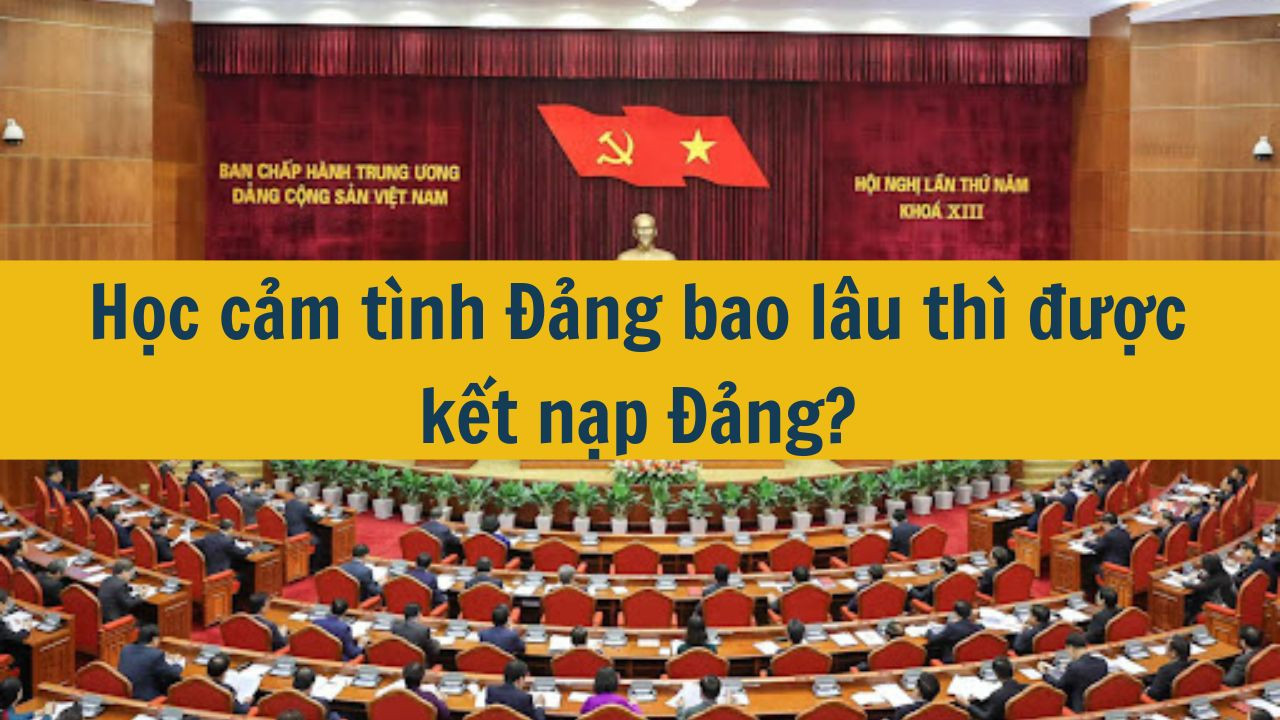 Học cảm tình Đảng bao lâu thì được kết nạp Đảng?