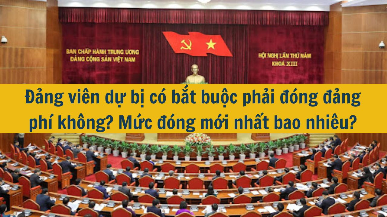Đảng viên dự bị có bắt buộc phải đóng đảng phí không? Mức đóng mới nhất 2025 bao nhiêu?