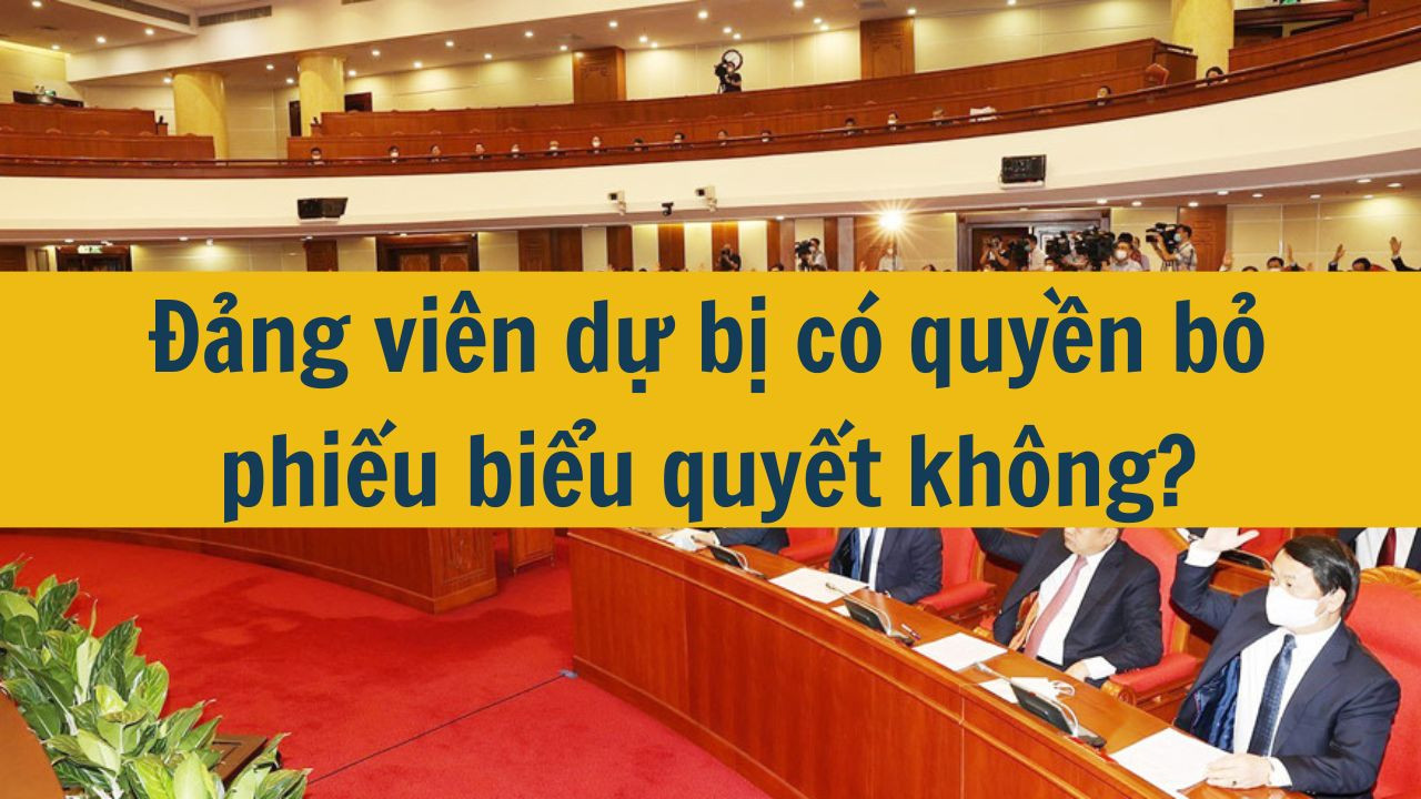 Đảng viên dự bị có quyền bỏ phiếu biểu quyết không?