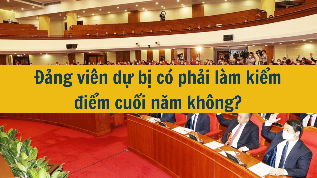 Đảng viên dự bị có phải làm kiểm điểm cuối năm không?