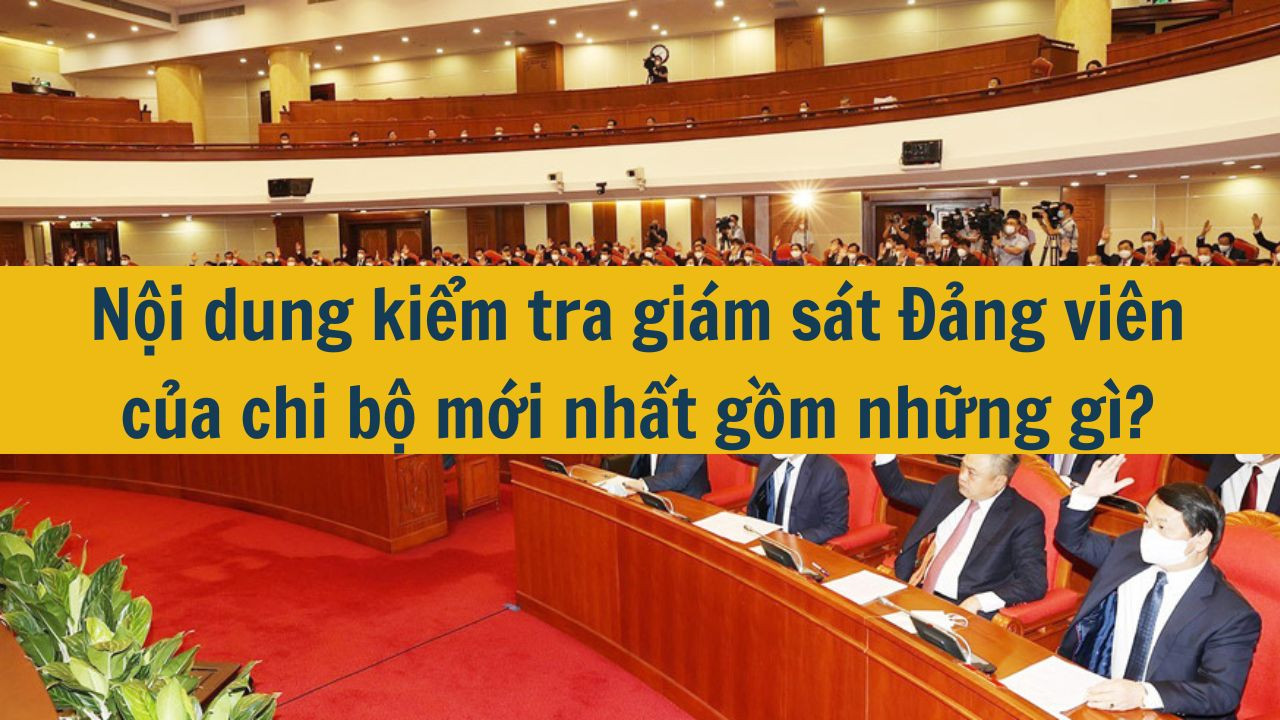 Nội dung kiểm tra giám sát Đảng viên của chi bộ mới nhất 2025 gồm những gì?