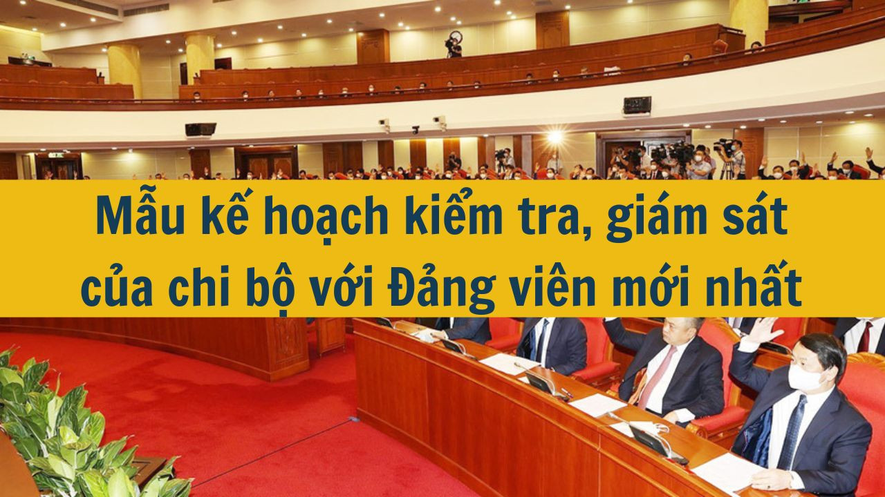 Mẫu kế hoạch kiểm tra, giám sát của chi bộ với Đảng viên mới nhất 2025