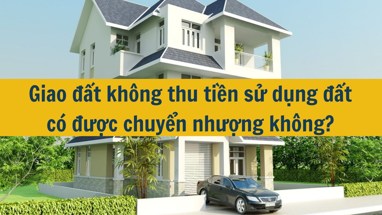 Giao đất không thu tiền sử dụng đất có được chuyển nhượng không?