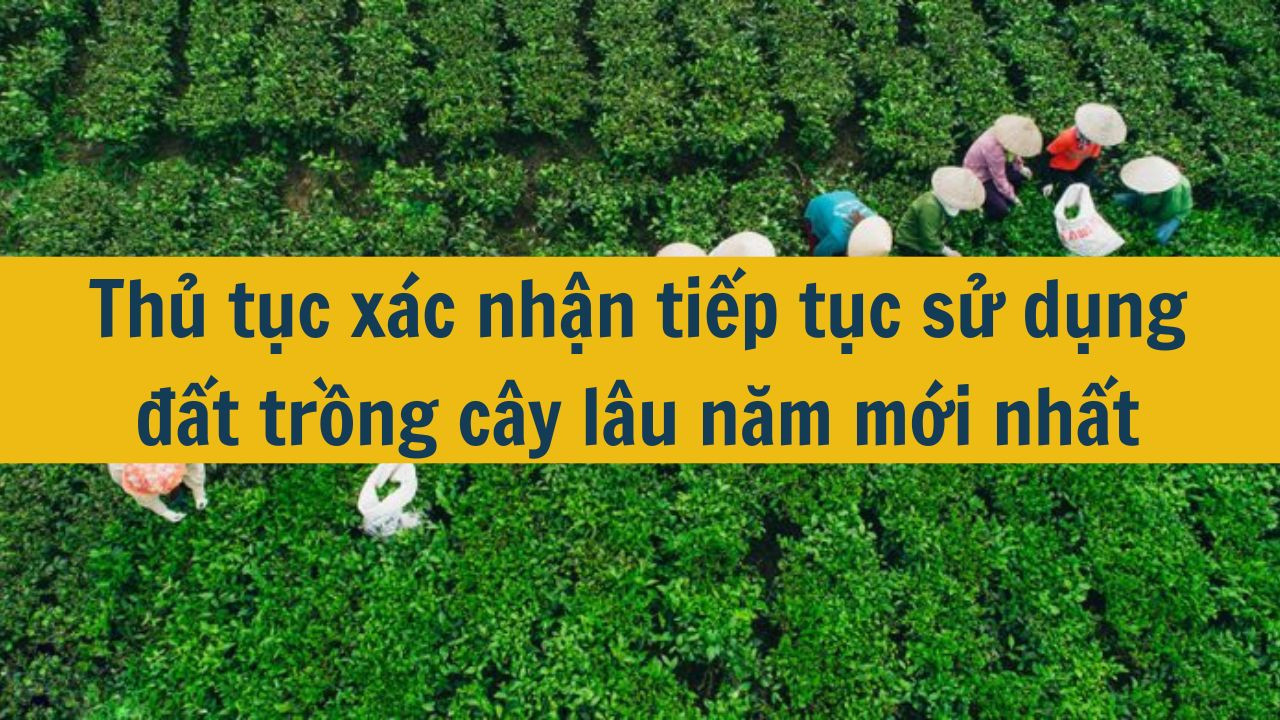 Thủ tục xác nhận tiếp tục sử dụng đất trồng cây lâu năm mới nhất 2025