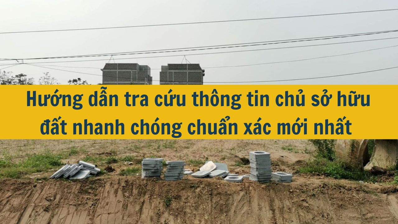 Hướng dẫn tra cứu thông tin chủ sở hữu đất nhanh chóng chuẩn xác mới nhất 2025