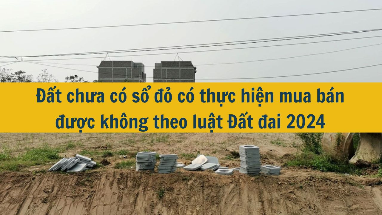 Đất chưa có sổ đỏ có thực hiện mua bán được không theo luật Đất đai 2024?