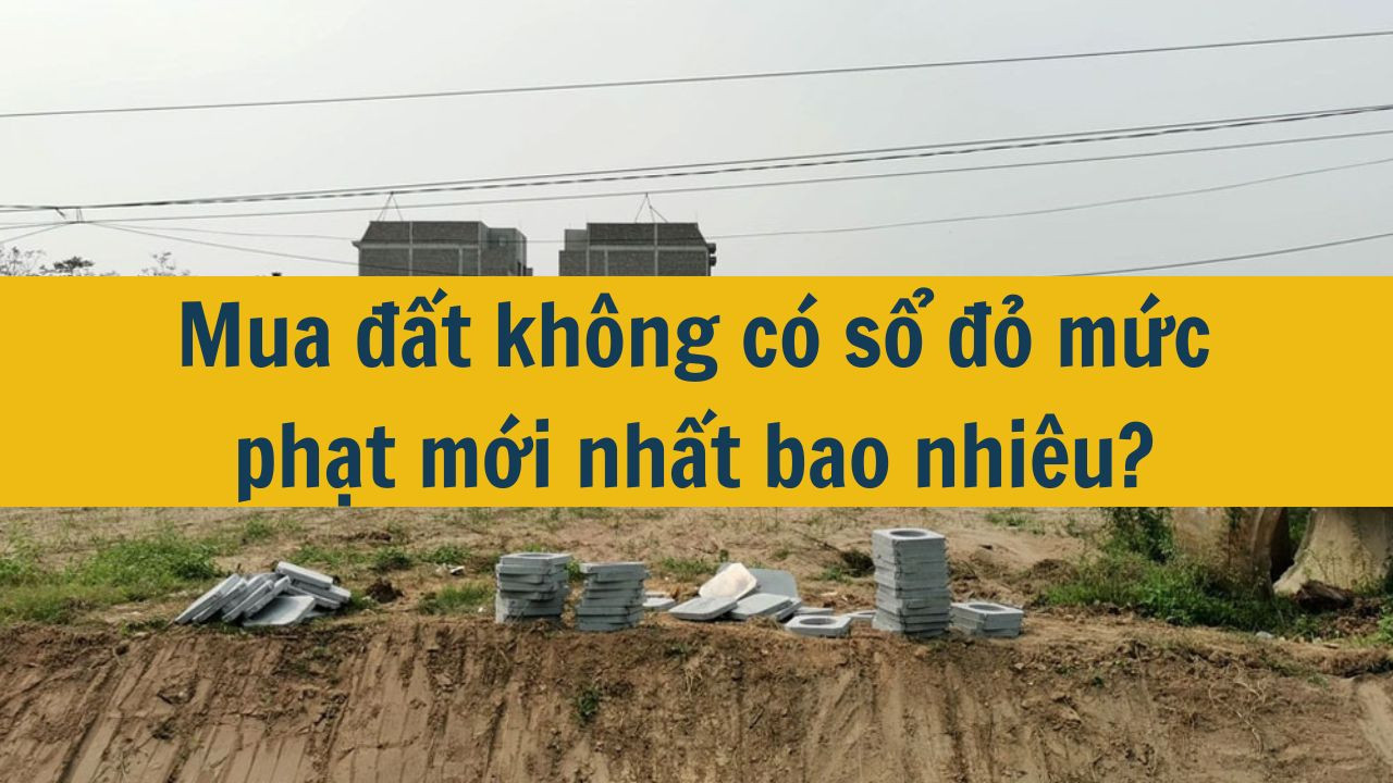 Mua đất không có sổ đỏ mức phạt mới nhất 2025 bao nhiêu?
