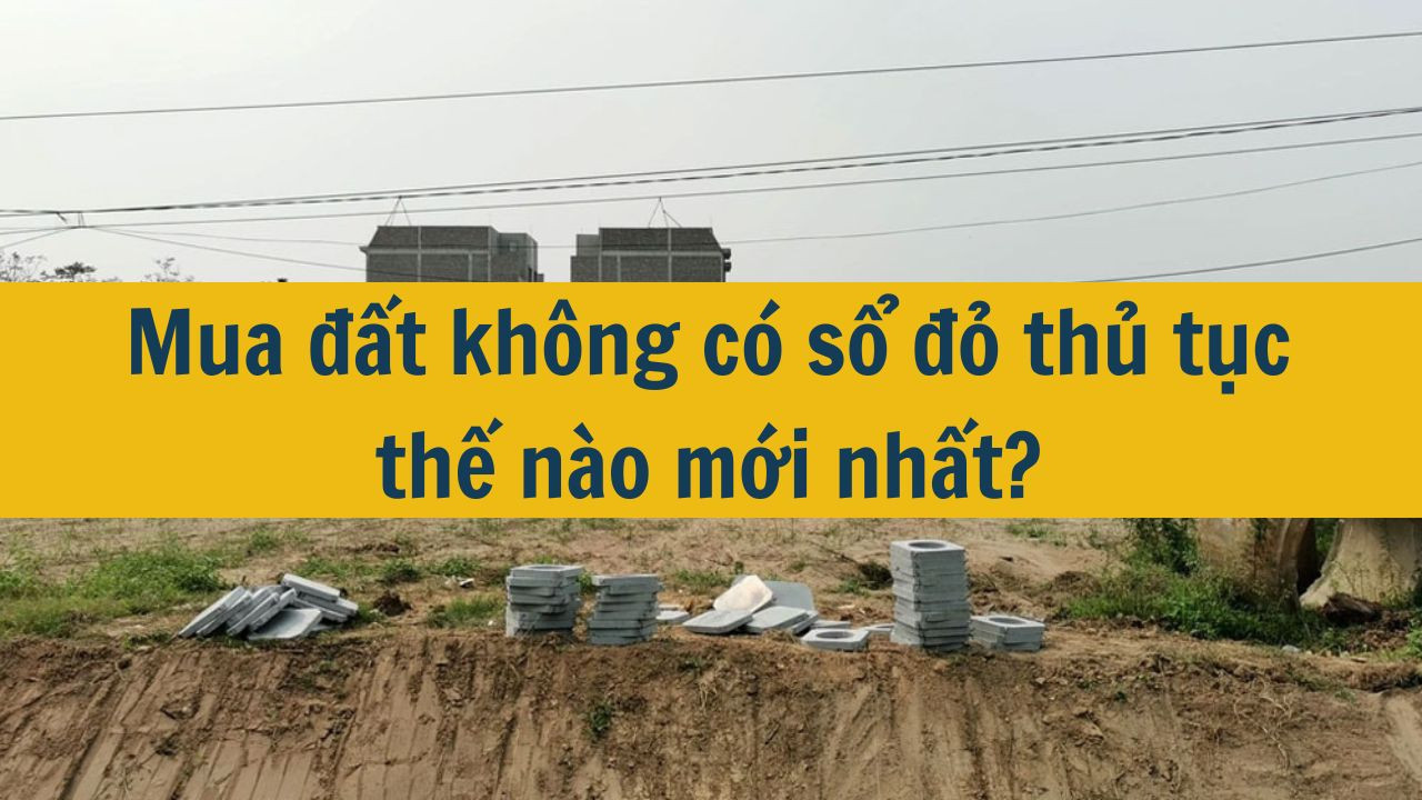 Mua đất không có sổ đỏ thủ tục thế nào mới nhất 2025?