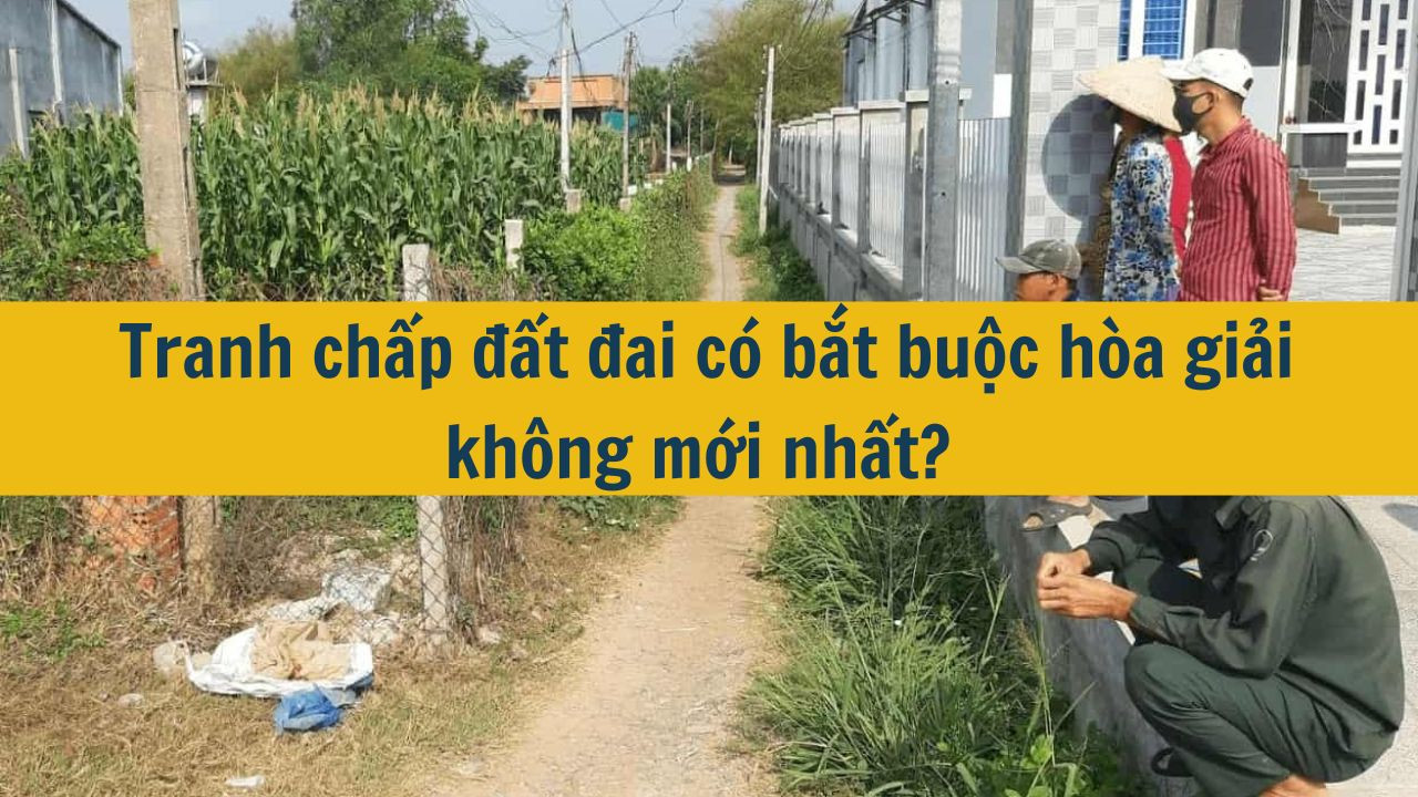 Tranh chấp đất đai có bắt buộc hòa giải không mới nhất 2025?