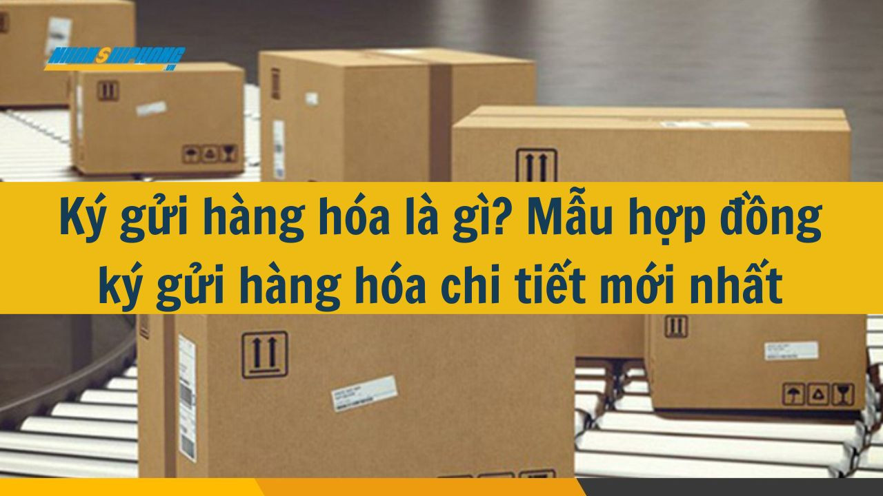Ký gửi hàng hóa là gì? Mẫu hợp đồng ký gửi hàng hóa chi tiết mới nhất 2025