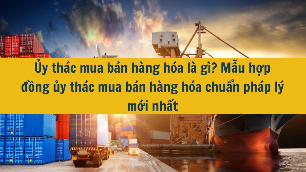 Ủy thác mua bán hàng hóa là gì? Mẫu hợp đồng ủy thác mua bán hàng hóa chuẩn pháp lý mới nhất 2025