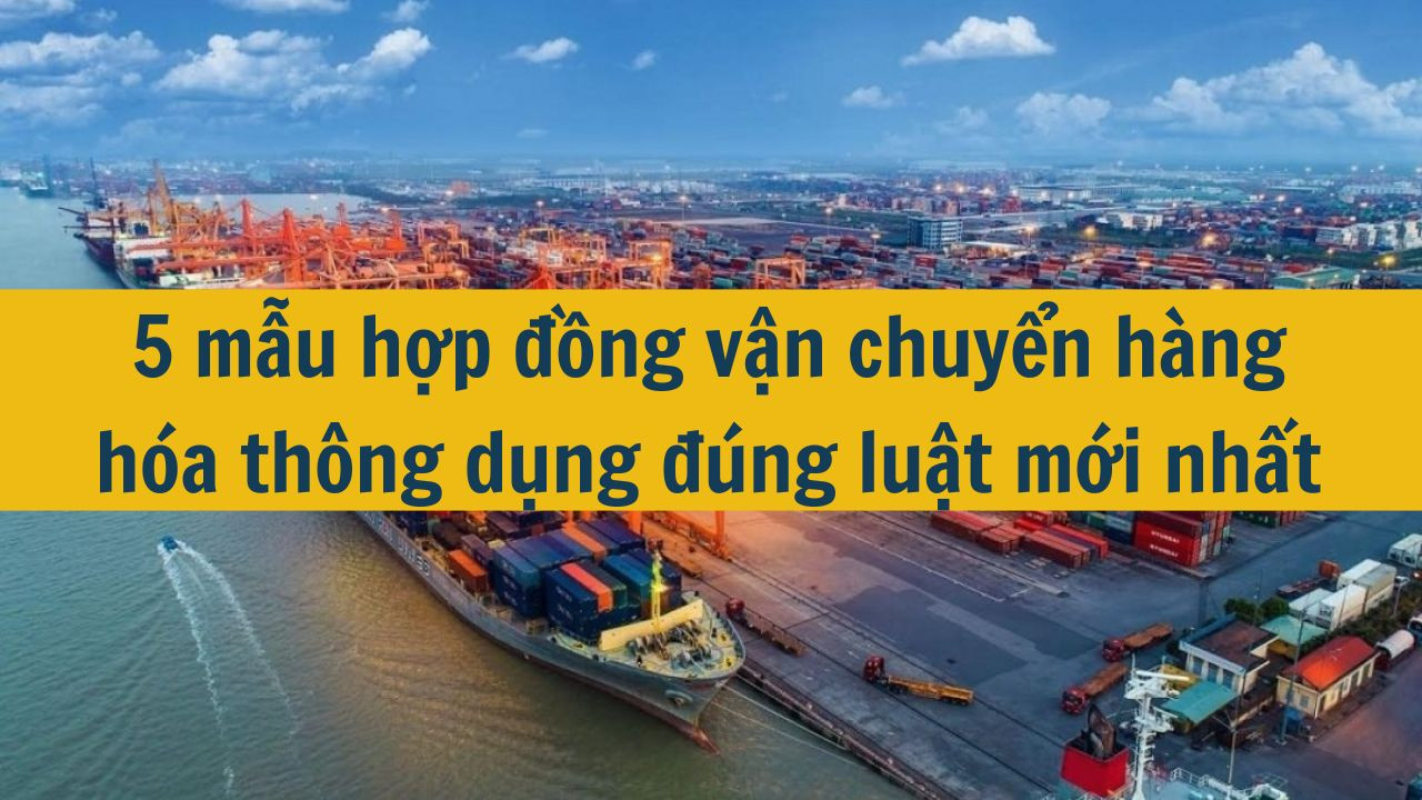 5 mẫu hợp đồng vận chuyển hàng hóa thông dụng đúng luật mới nhất 2025